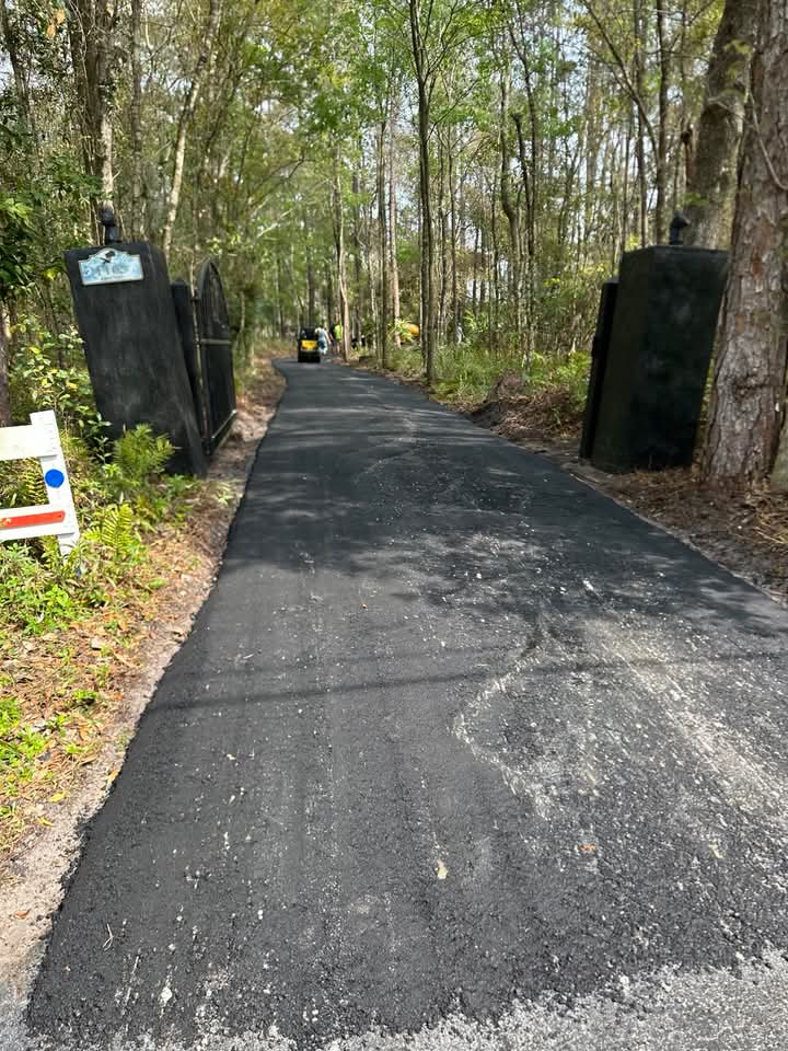 Long wooded driveway